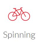 spinning icon